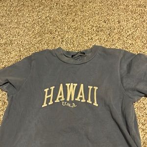 Blue Brandy Melville Crop Top